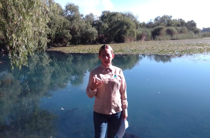  Con actividades virtuales, gobierno de Morelia celebró el Día de los Humedales