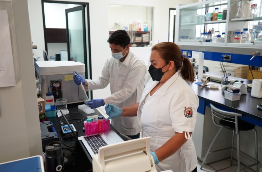 CONACYT reconoce cuatro proyectos nicolaitas para 2022