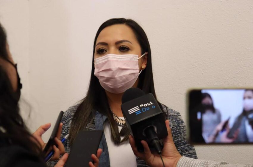  Presenta diputada Liz Hernández iniciativa en materia de violencia política de género ante representantes del IEM y TEEM