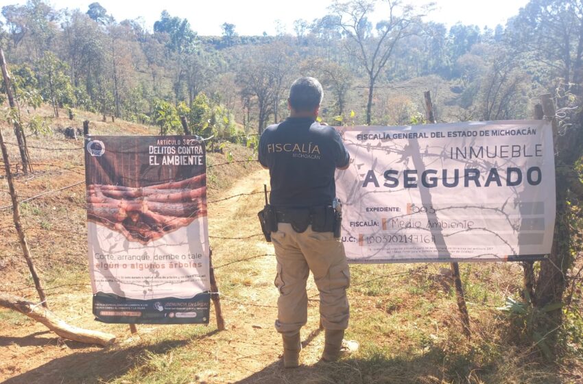  En cateo, asegura Fiscalía General predio relacionado en delitos Contra el Ambiente