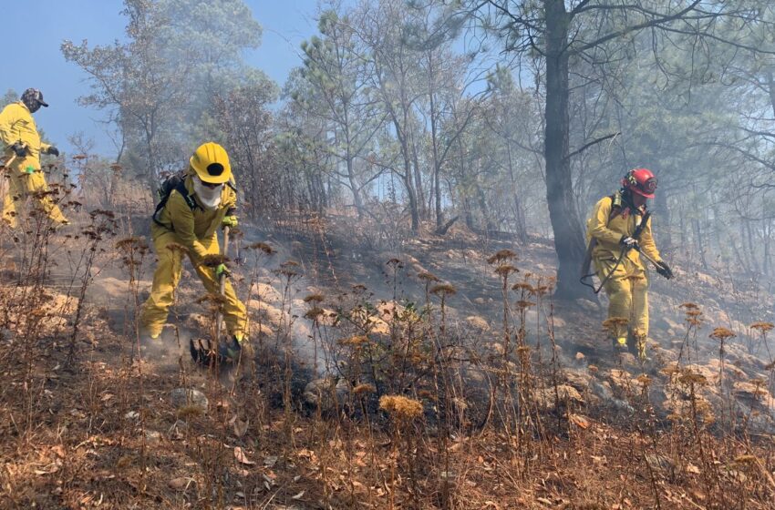 Brigadistas refuerzan labores y controlan incendio en Loma de Santa María
