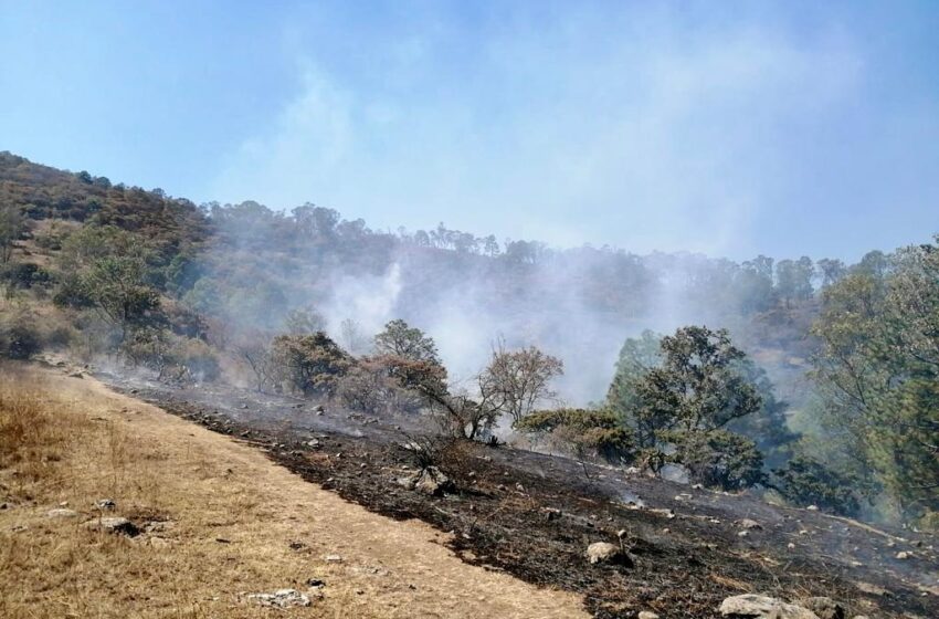 Atienden brigadas oficiales cinco incendios forestales en Michoacán