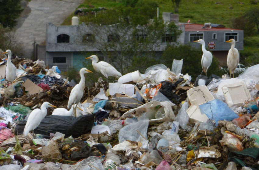  Llama Proam al aprovechamiento de los residuos mediante economía circular
