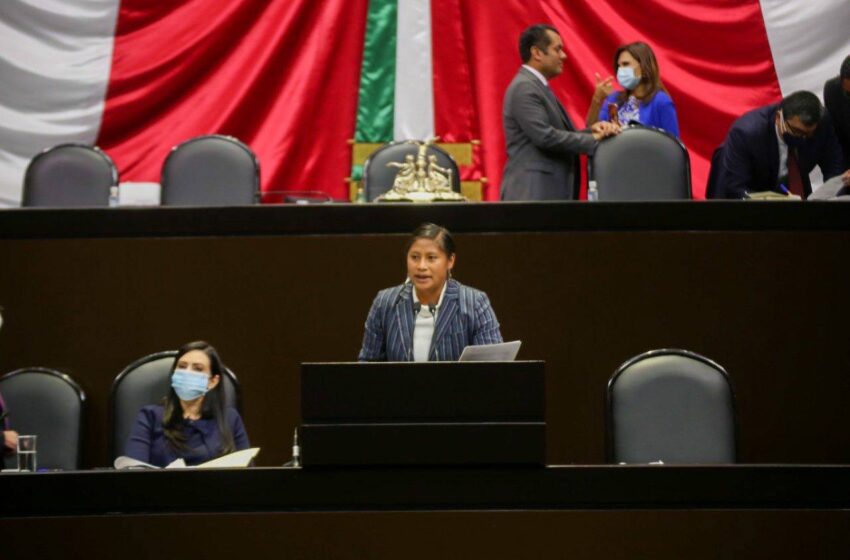  Con voto en contra de Reforma Eléctrica, PRIANRD está condenado a desaparecer: Celeste Ascencio