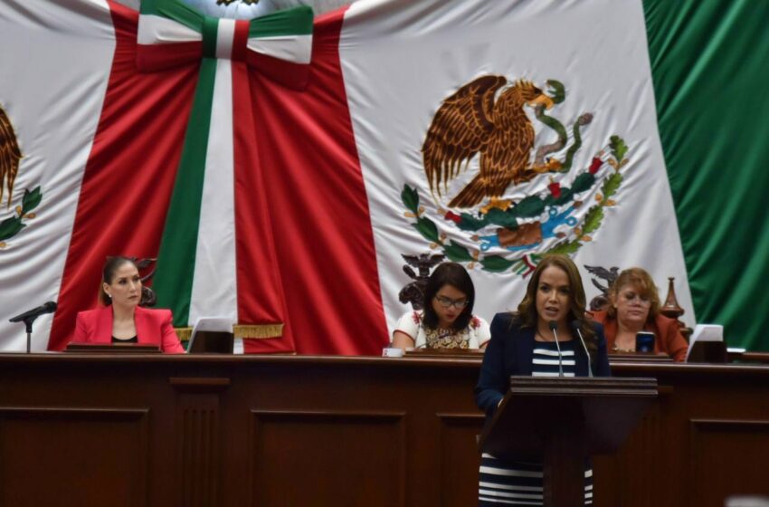 Propone Andrea Villanueva acompañante sombra para niños con discapacidad