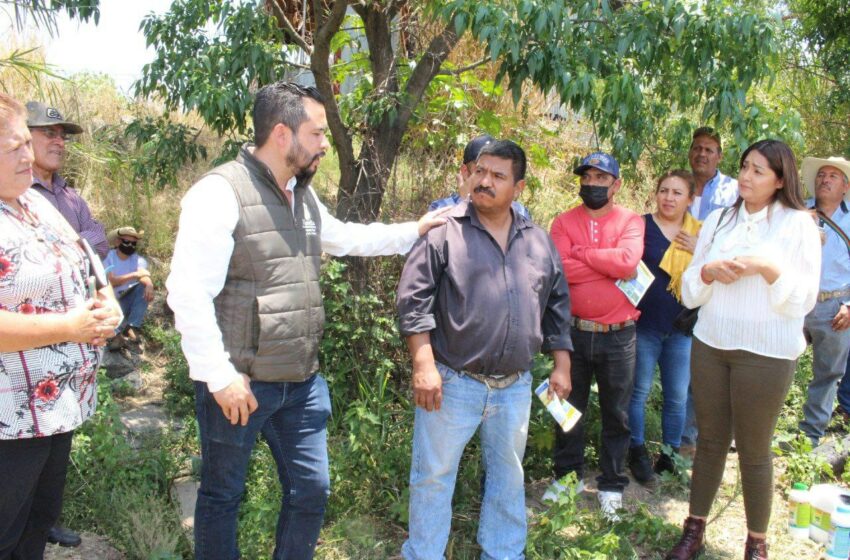  SADERMA analiza beneficios en aplicación de fertilizantes orgánicos en el campo