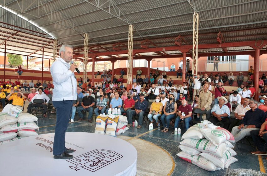 En Aguililla trabajamos por la recuperación productiva agrícola y ganadera: Bedolla