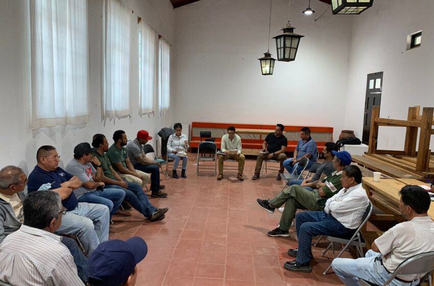  IAM se reúne con artesanos lauderos de Paracho