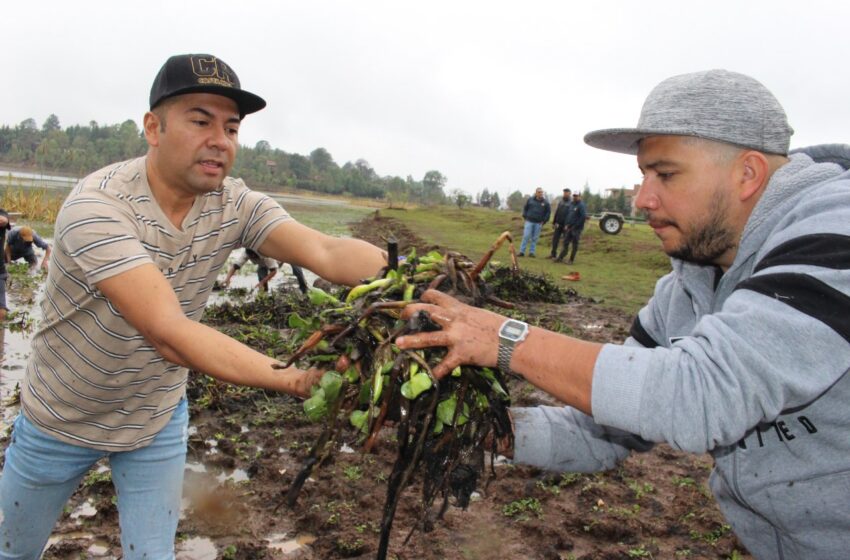  Gobierno Municipal realiza labores de limpieza en Laguna de San José de las Torres