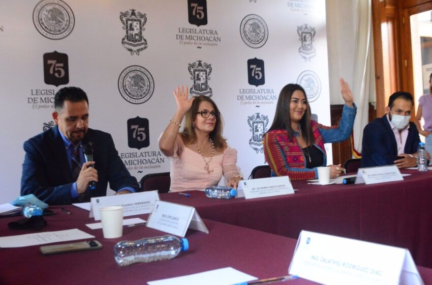  Por primera vez, las familias michoacanas serán atendidas en el Congreso: Dip. Luz María García