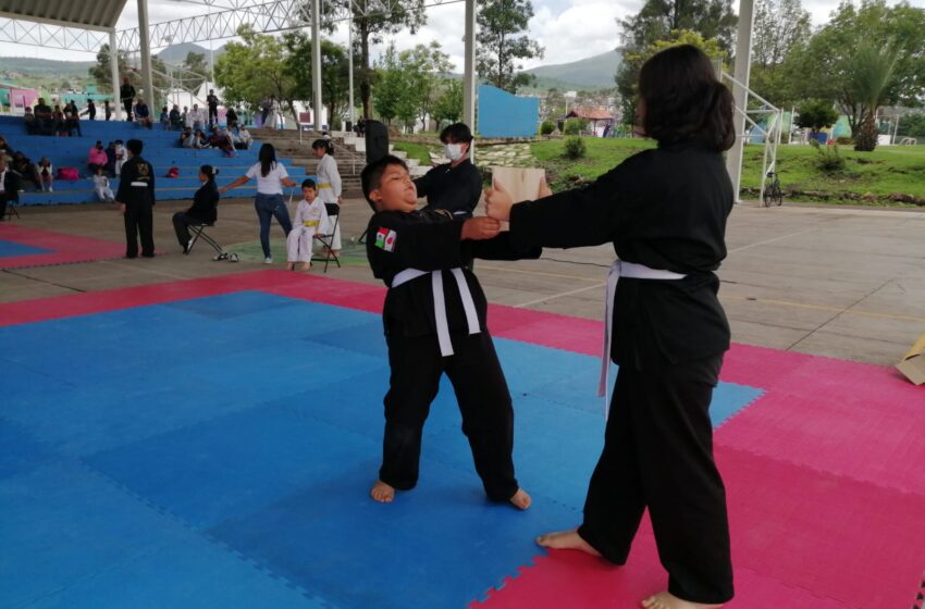  Unidad Deportiva Miguel Hidalgo, sede del Seminario y II Copa de Karate-do Shito-Ryu