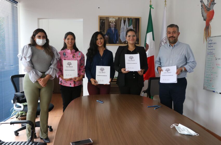  Implementa Bienestar políticas públicas para recuperar el tejido social