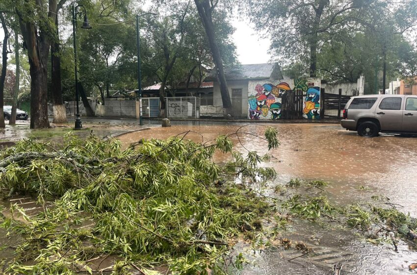  Gobierno de Morelia atiende incidentes por lluvias