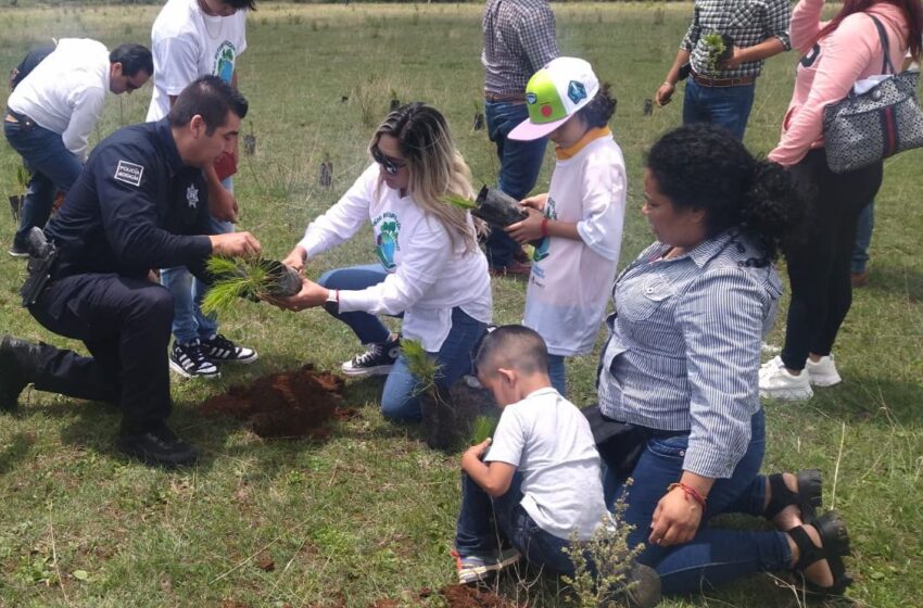 SSP participa en jornada de reforestación del Oriente michoacano