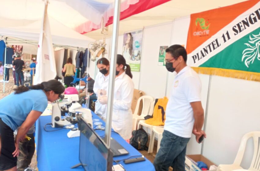  Participan estudiantes del Cecytem en Feria del Hongo