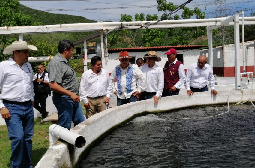  Visita CONAPESCA granja acuícola de “El Infiernillo”