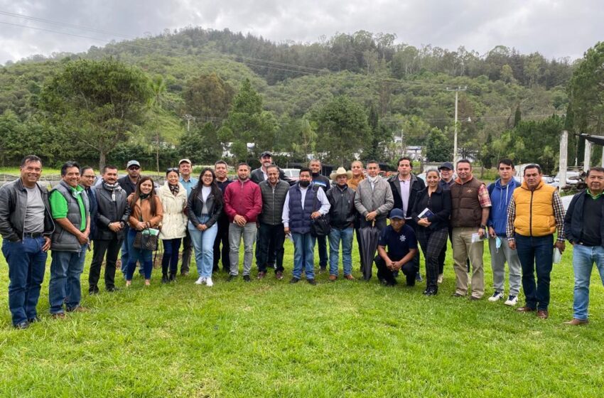  Arranca Cofom capacitación a ayuntamientos sobre inspección y vigilancia forestal