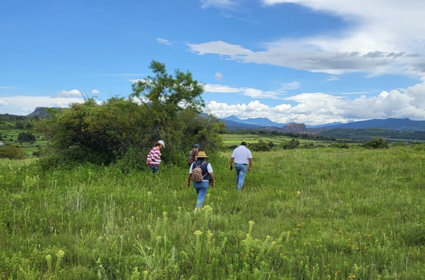  Colectivos y equipo jurídico del PRI realizan búsqueda de víctimas