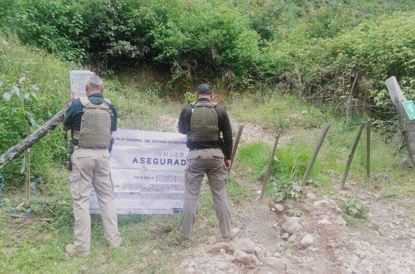  En cateo, asegura Fiscalía General predio relacionado en delitos Contra el Ambiente