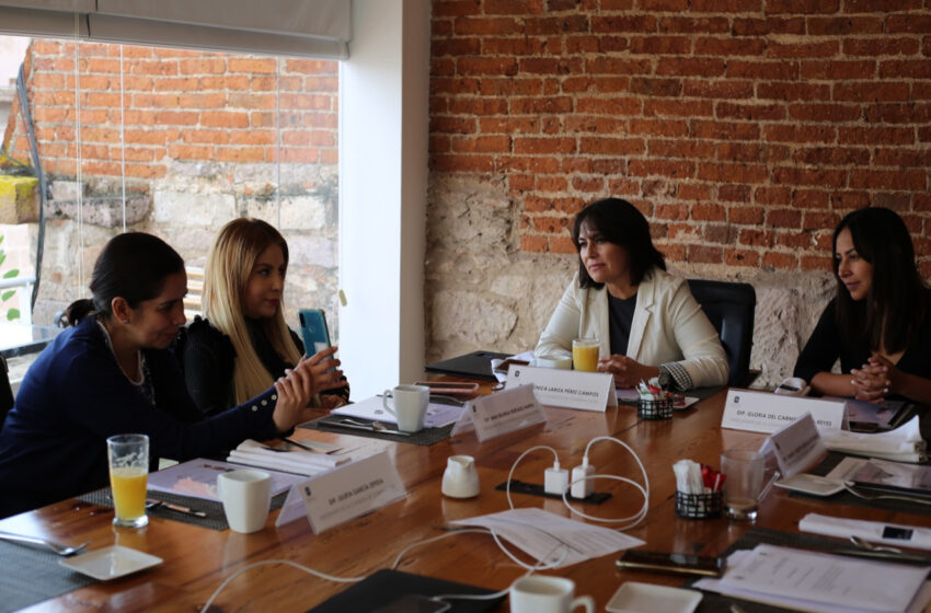 Las mujeres que integramos la Comisión de Gobernación, unidas, le rendimos cuentas a Michoacán