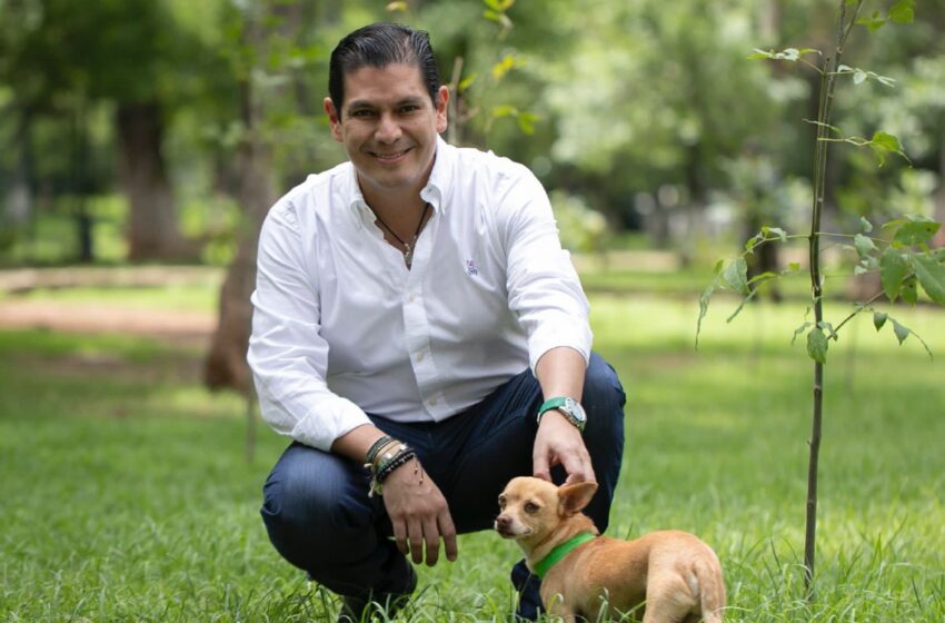 Aprueba Congreso castigar con cárcel maltrato y crueldad animal