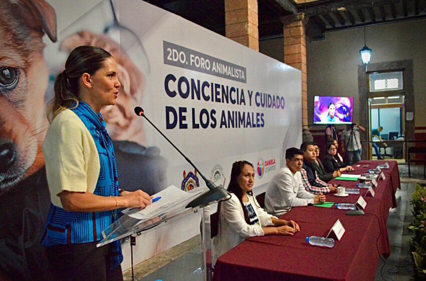 Trabaja 75 Legislatura en incremento a penas por maltrato animal: Daniela de los Santos