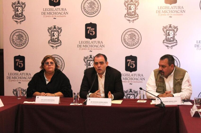  No podemos esperar a que llegue la hora cero: Balta Gaona