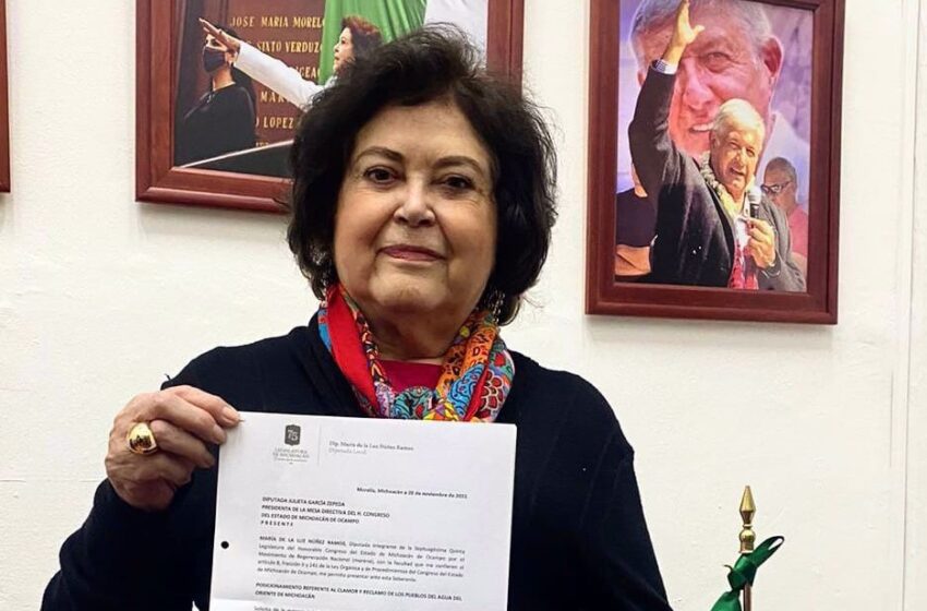  Pagar a cuidadores de bosques del Oriente michoacano, propone la diputada María de la Luz