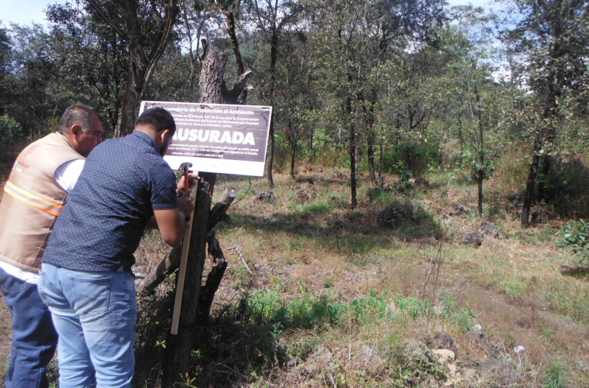  Atiende Proam denuncias en distintos municipios del estado