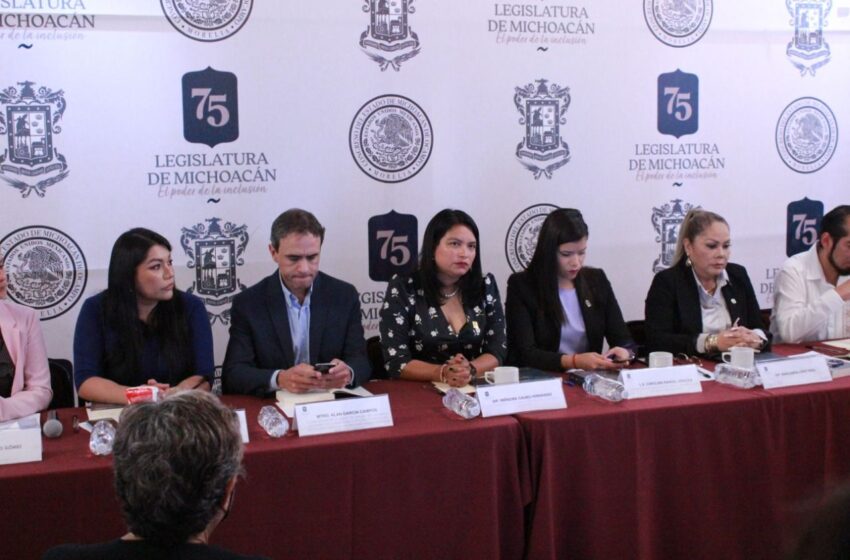 75 Legislatura tiene un compromiso con familias de personas desaparecidas: Eréndira Isauro