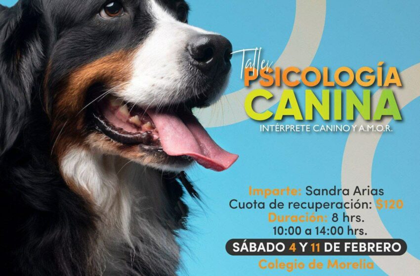  Colegio de Morelia invita a su curso sobre Psicología Canina