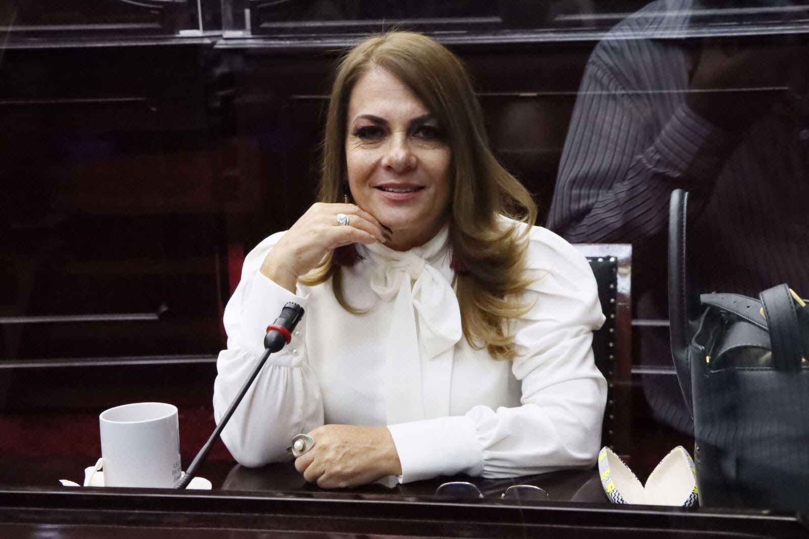  En inclusión, hay mucho por trabajar: Dip. Luz García