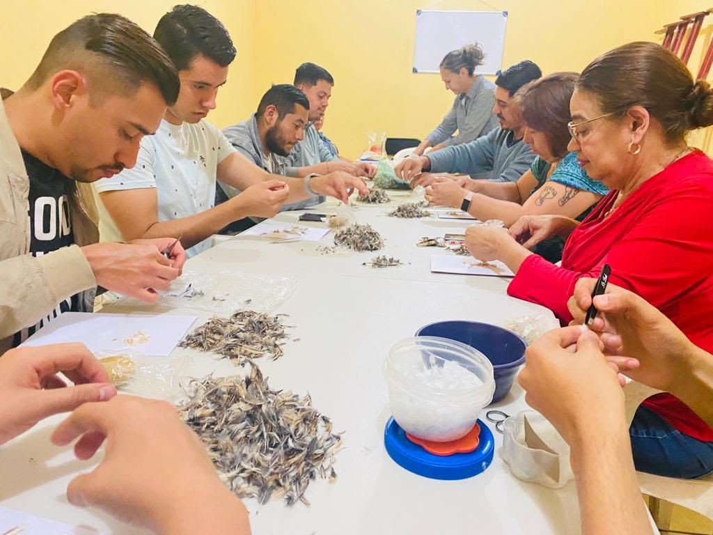  Impulsa IAM técnica de arte plumario sobre cera figurativa