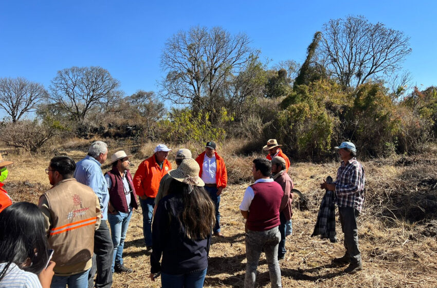  Vigilará Proam conservación del ANP del Manantial la Mintzita