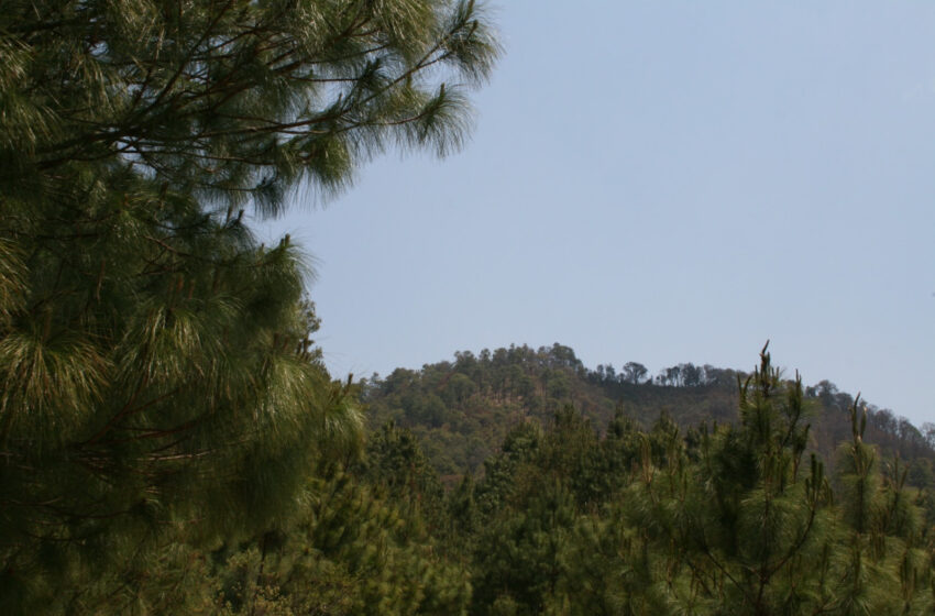  Cofom y Santa Fe de la Laguna elaboran plan para monitoreo de fauna silvestre