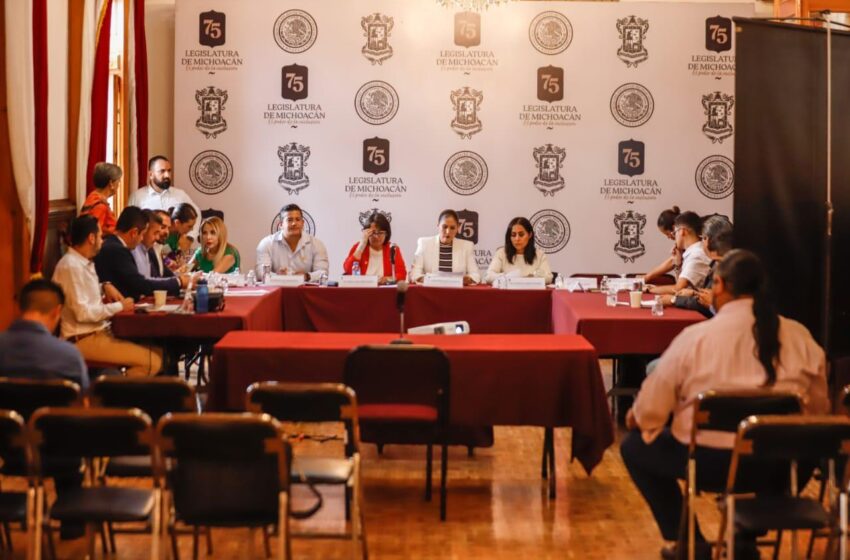  Lista, terna para elegir a Comisionado del IMAIP