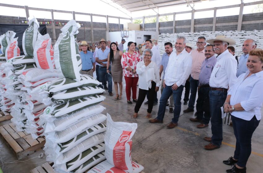  Disponible 70% del fertilizante gratuito para agricultores del estado: Bedolla