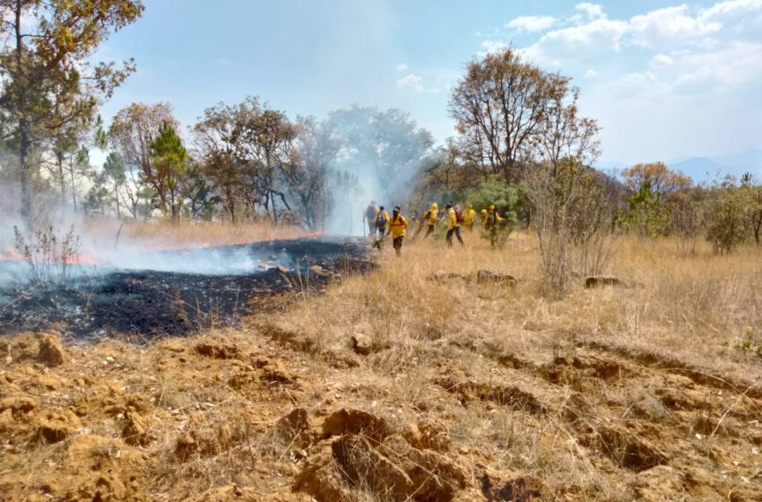  Reconoce Cofom labor de combatientes forestales