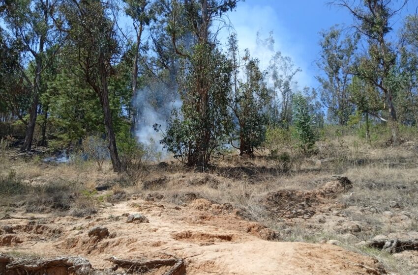  Cofom atiende y controla 4 incendios forestales en Michoacán