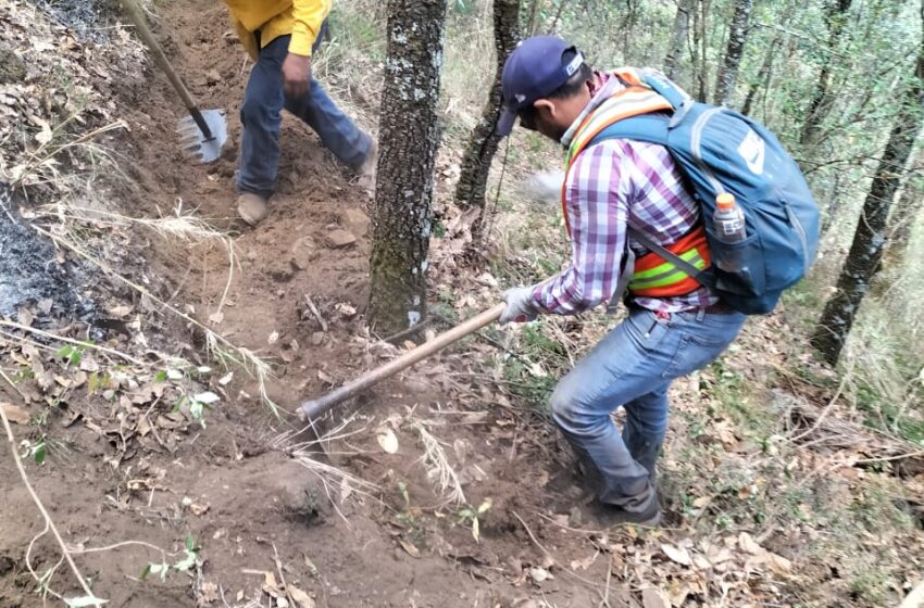  Controlado en un 100% el incendio forestal en el cerro de Patamban: Cofom