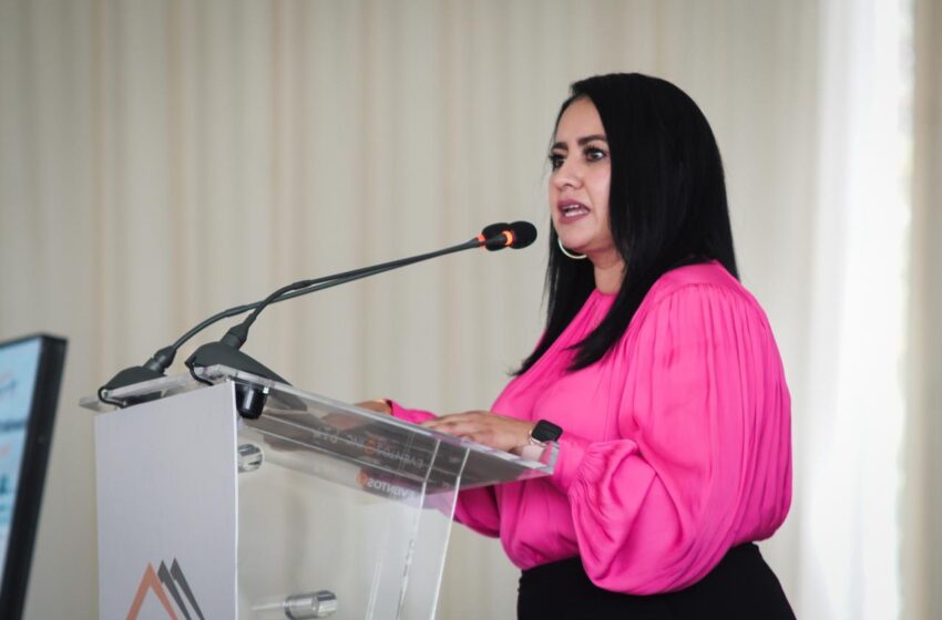  Ley de Movilidad hará más eficiente el transporte público de Michoacán: Sedum