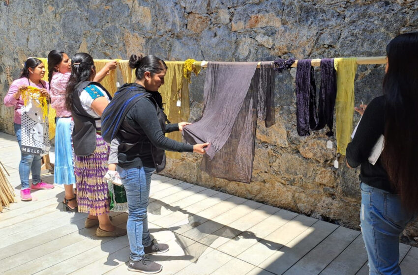  Becan a artesanas michoacanas en diplomado de tintes naturales