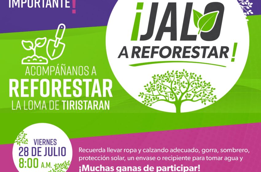  Ijumich y Secma invitan a participar en la iniciativa Jalo a Reforestar