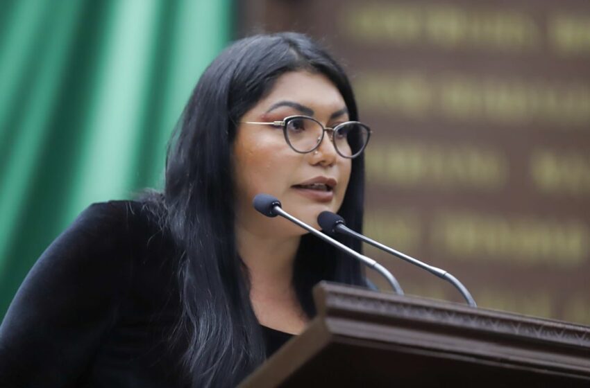  Ley de parto respetado eliminaría violencia obstétrica: Brenda Fraga