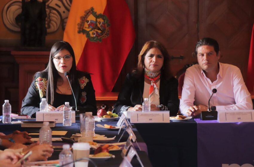 Coordinación, fundamental para la atención a víctimas de violencia: Seimujer
