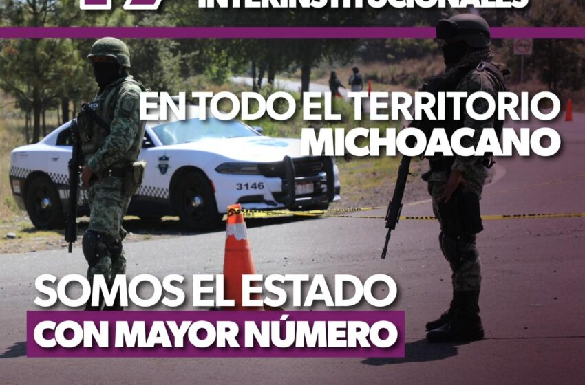  Operatividad permanente, logra importante reducción en homicidios dolosos en Michoacán: SSP