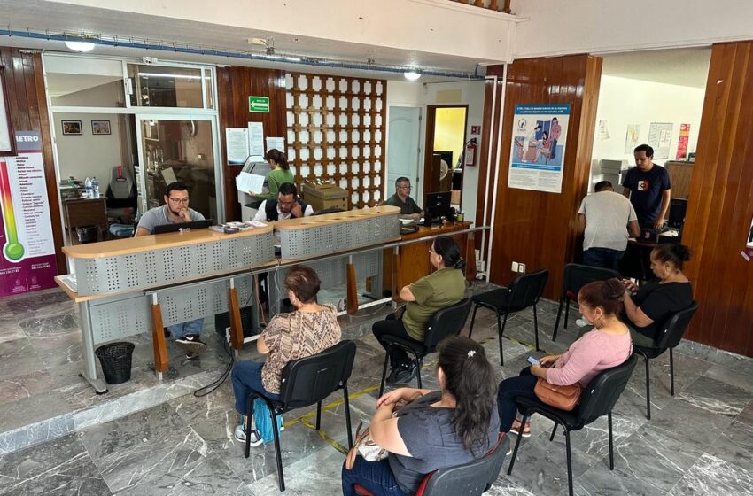  Brinda Semigrante traducción gratuita de documentos oficiales