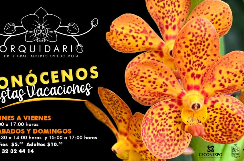  Descubre la magia del Orquidario de Morelia estas vacaciones