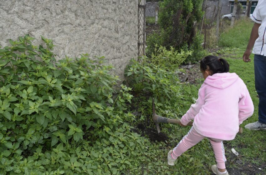  Niños de Casa Hogar se suman a reforestación de la Cofom