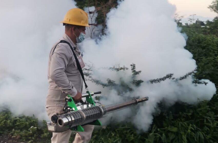  Protegerá SSM contra el dengue más de 55 mil viviendas en Lázaro Cárdenas